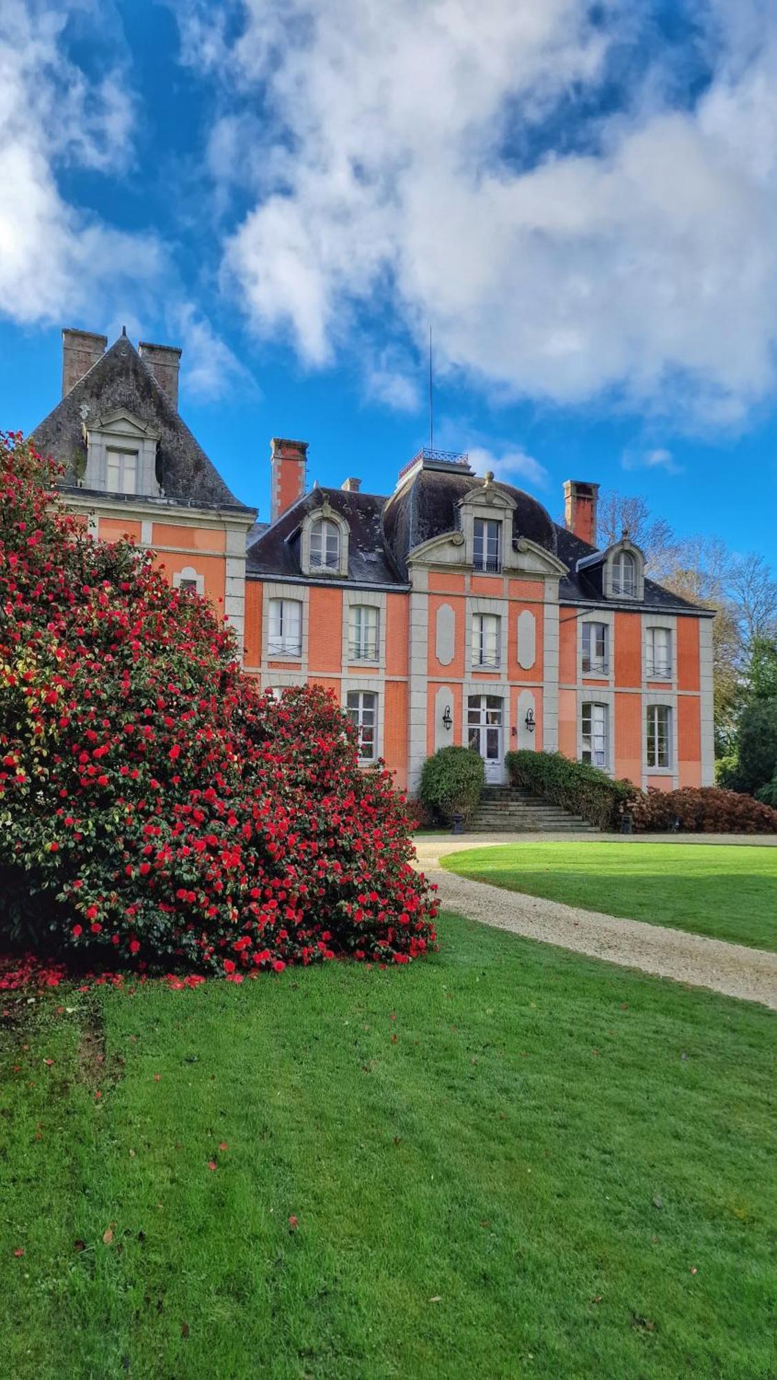 Chateau De Chantore Bacilly Buitenkant foto