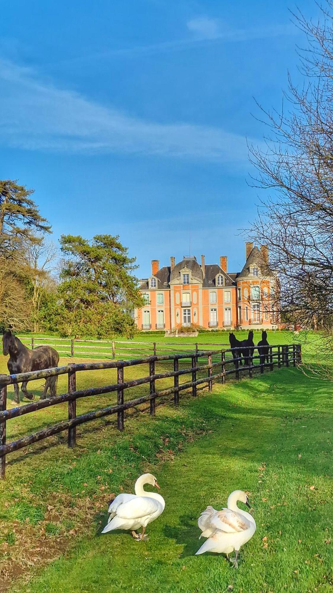 Chateau De Chantore Bacilly Buitenkant foto