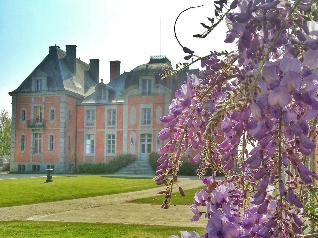 Chateau De Chantore Bacilly Buitenkant foto
