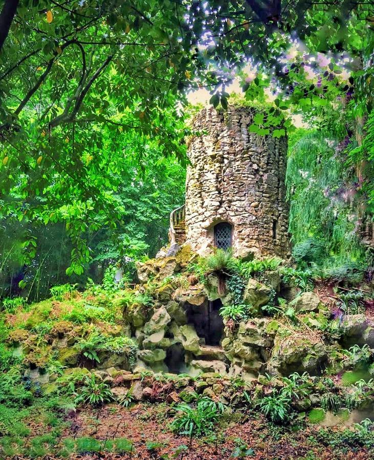 Chateau De Chantore Bacilly Buitenkant foto