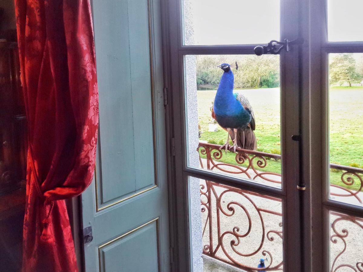 Chateau De Chantore Bacilly Buitenkant foto